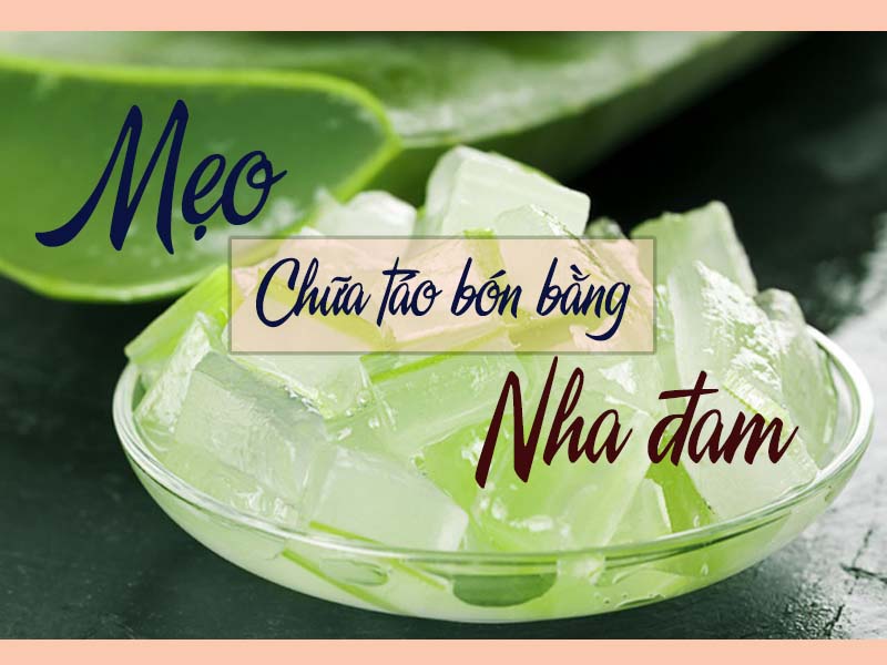 [Mách bạn] Mẹo chữa táo bón bằng nha đam cực đơn giản tại nhà