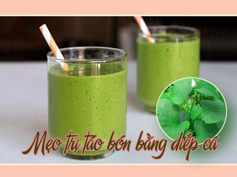 [Mách bạn] Cách điều trị táo bón cho bé tại nhà bằng rau diếp cá cực hiệu quả!