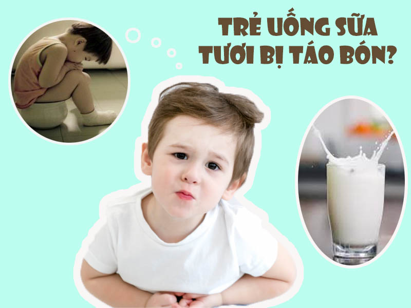 trẻ uống sữa tươi bị táo bón