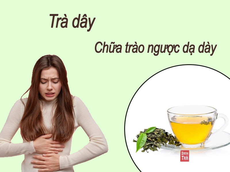 [Chia sẻ] Tác dụng chữa trào ngược dạ dày tuyệt vời của trà dây